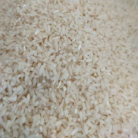 برنج ایرانی سرلاشه شیرودی (میلاد) 20ک *