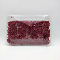 زرشک اناری اعلا (کد51) (ظرف 400گ)*