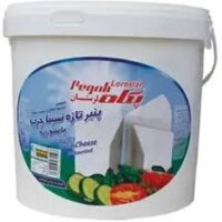 پنیر شاین (پگاه) سطلی 10ک