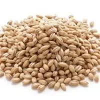 گندم حلیم کیسه ای تقریبی 30ک*