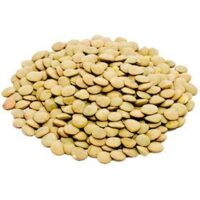 عدس خارجی روس کیلویی