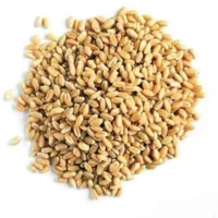 جوپوست کنده فله 29.8کیلوگرم*